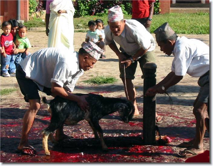 Click for the original image